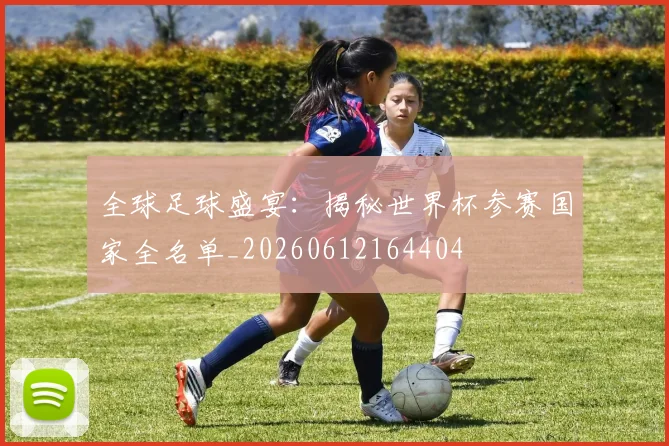 全球足球盛宴:揭秘世界杯参赛国家全名单_20260612164404